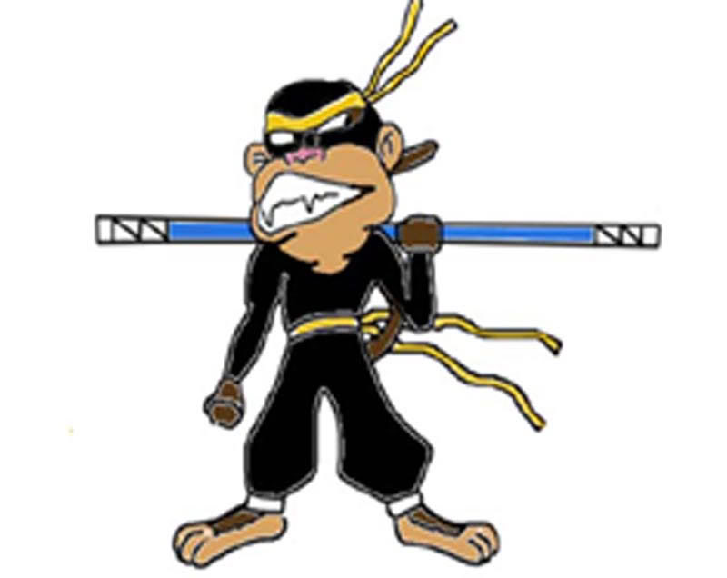 The Adventures of the Ninja Monkey