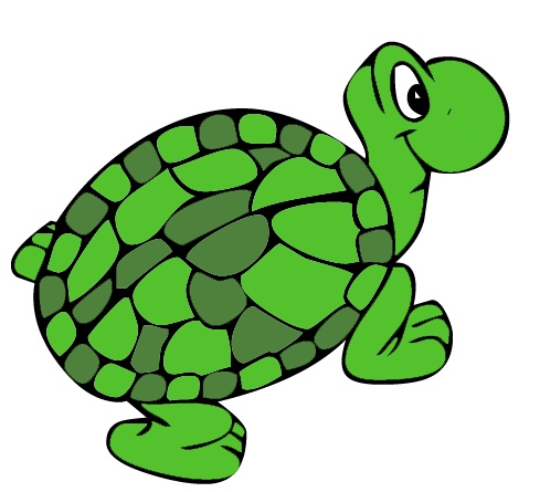 Green tortoise clipart