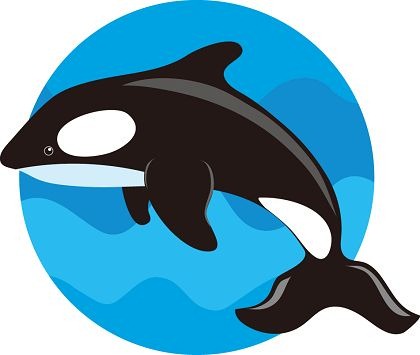 Cute Whale Vector | Free Vector Graphics | All Free Web Resources ...