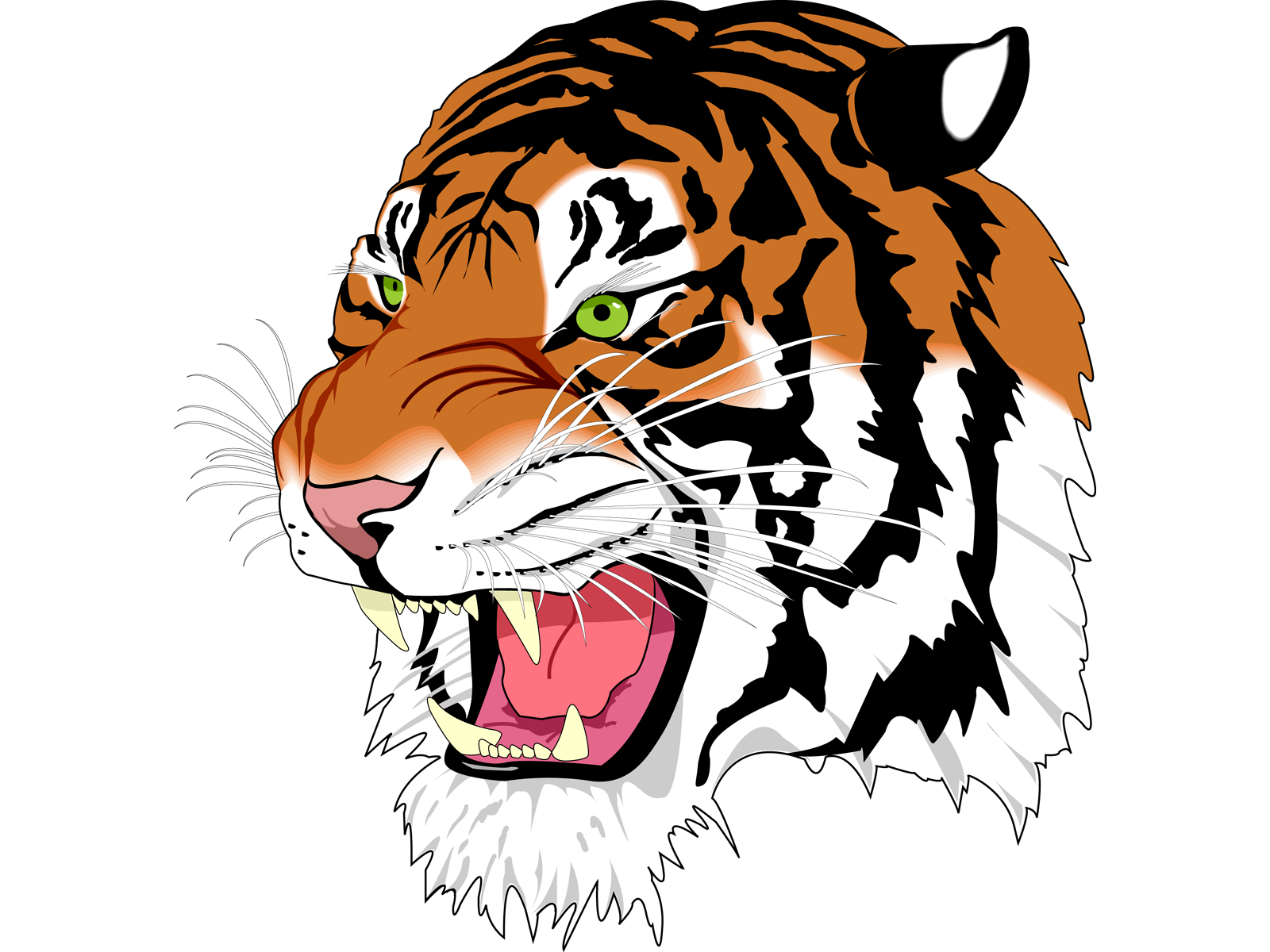 tiger_PNG553.png