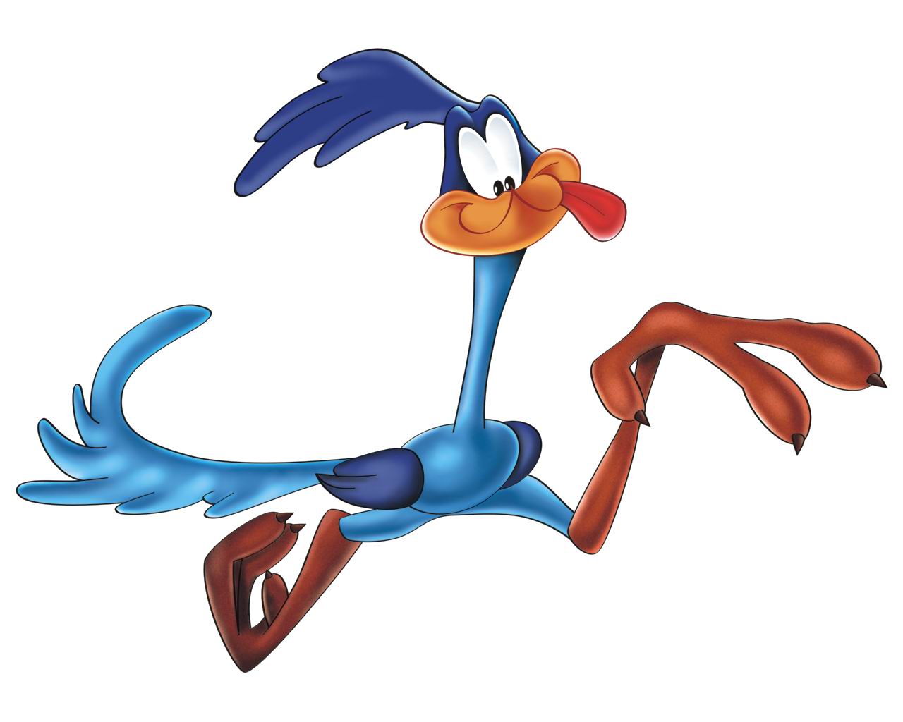 Road Runner/Gallery - Looney Tunes Wiki