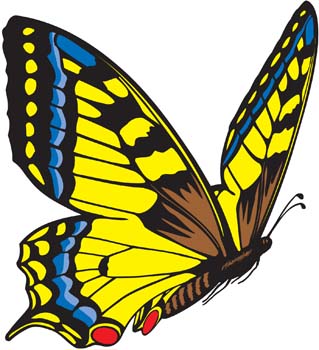 Butterfly Vector 3 vector, free vector graphics
