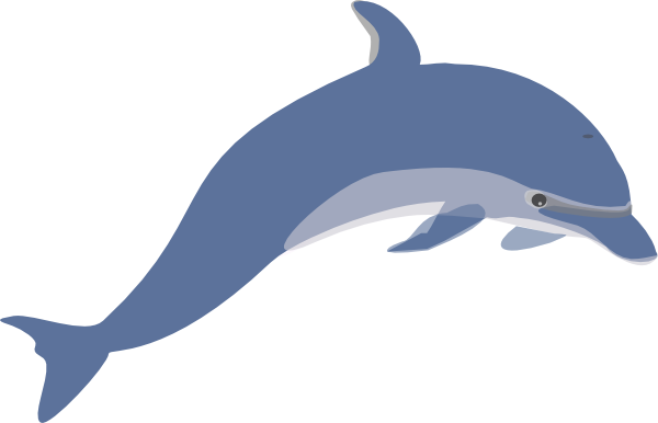 Free Download Dolphin Gif Animation: Pictures Of Animated Dolphins ...