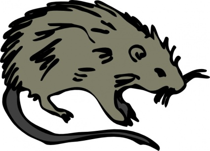 Clip Art Rat