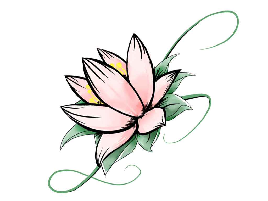 Basic Flower Drawings Easy - Drawing a daisy is easy and similar to