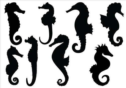 Seahorse Silhouette Clipart