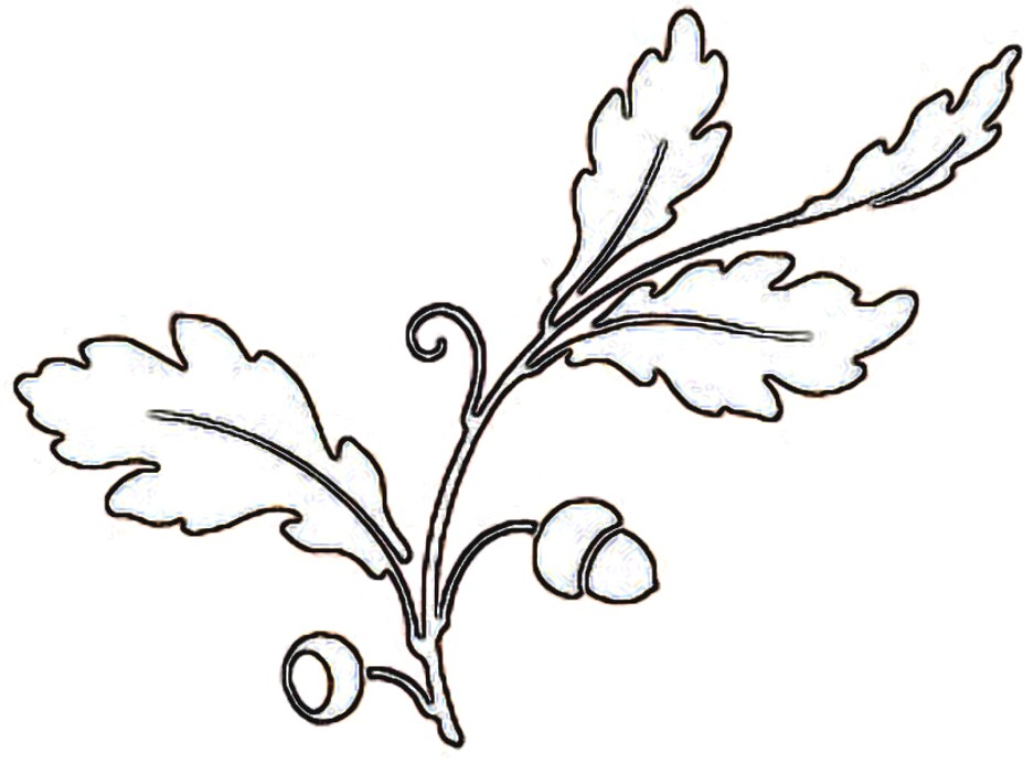 Oak Leaves Outline - Free Clipart Images