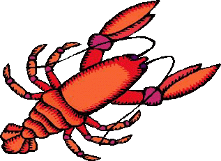 Crawfish Drawing Clipart - Free to use Clip Art Resource