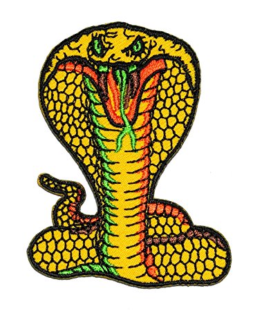 Amazon.com: Cobra Snake Embroidered Sew Iron on Patch CB-01: Arts ...