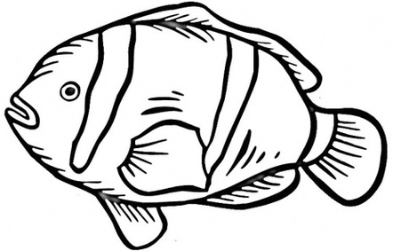 Clown Fish Outline Clipart - Free to use Clip Art Resource