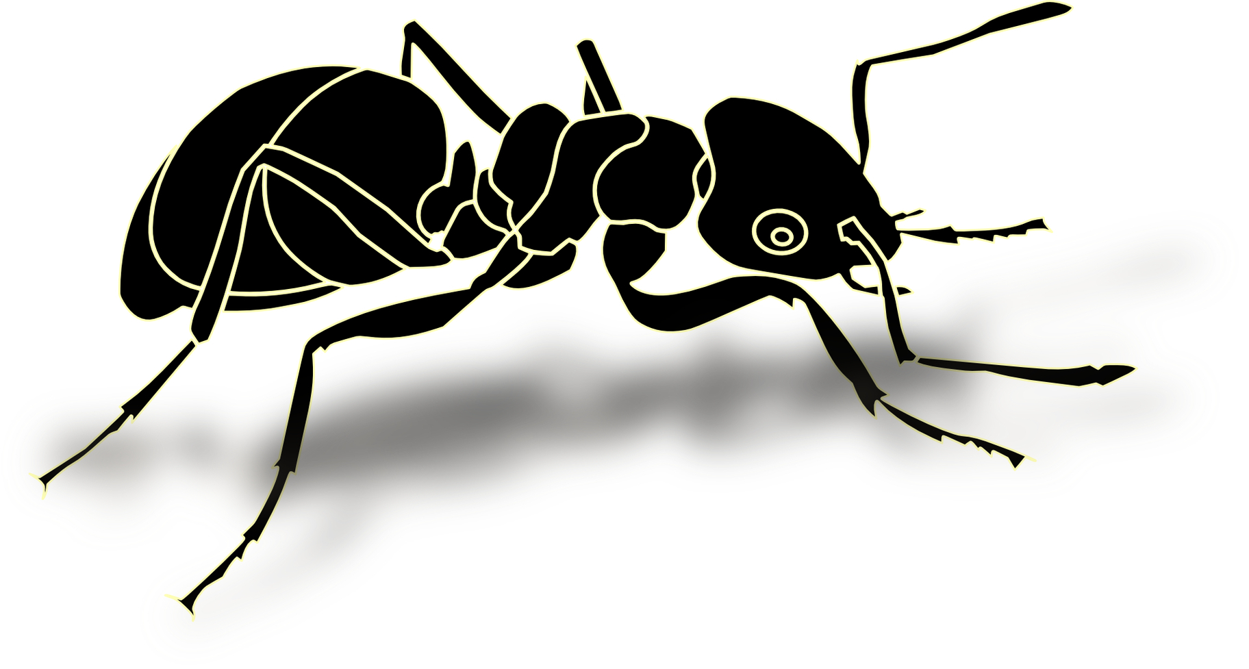 Outline Picture Of Ant Clipart - Free to use Clip Art Resource
