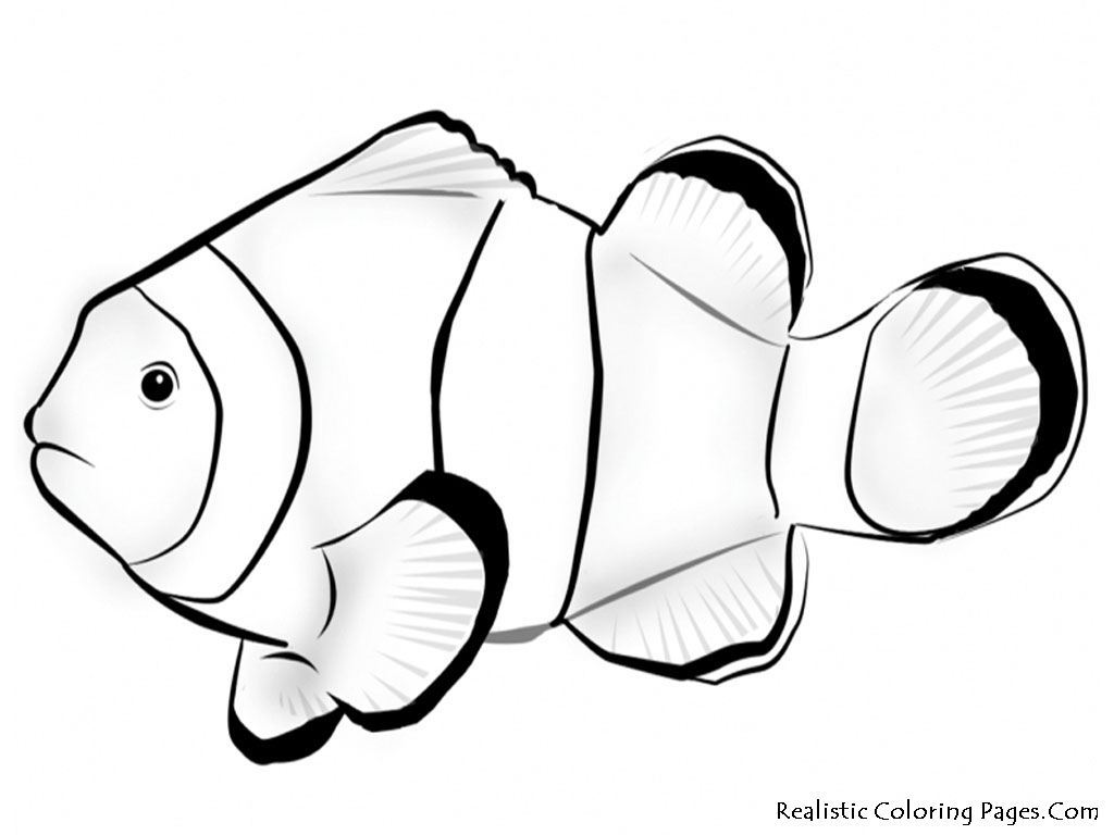 Realistic Frog Coloring Pages Nemo Fish Coloring Pages Realistic ...