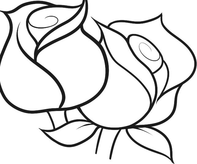 rose coloring pages for kids how to color roses coloring page ...