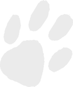 Paw Print Clipart No Background