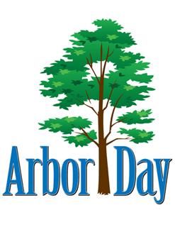1000+ images about Arbor day