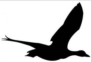 Flying-geese-silhouette-clip- ...