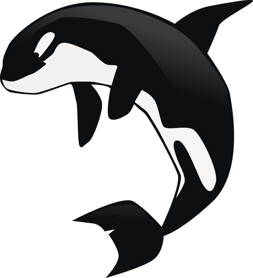 Killerwhale Clipart | Free Download Clip Art | Free Clip Art | on ...