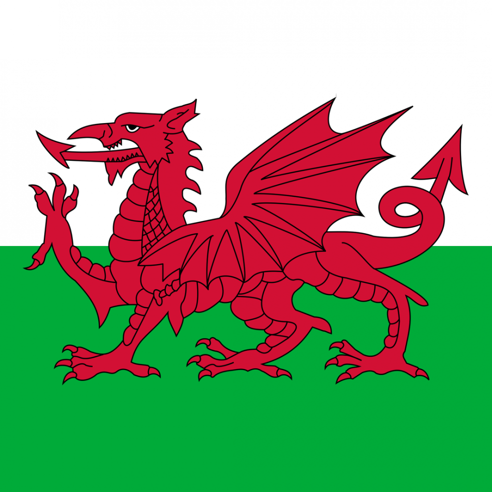 Wales flag profile picture overlay filter