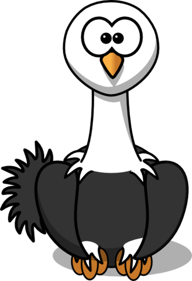 Ostrich Clip Art Clipart - Free to use Clip Art Resource