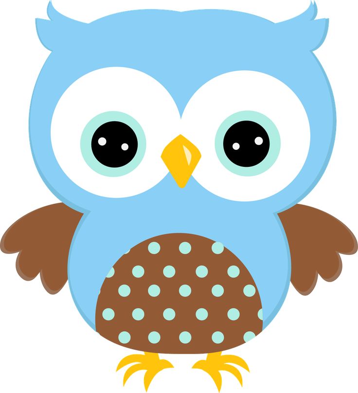 1000+ images about Owl Clipart