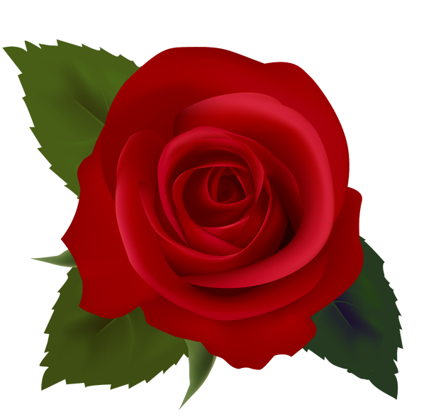 Photo of red rose clipart - ClipartFox