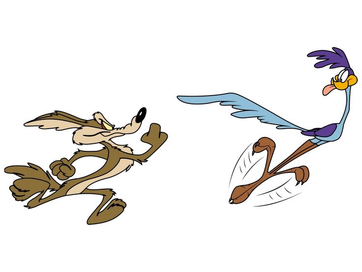 1000+ images about Road Runner | Runners, Saturday ...