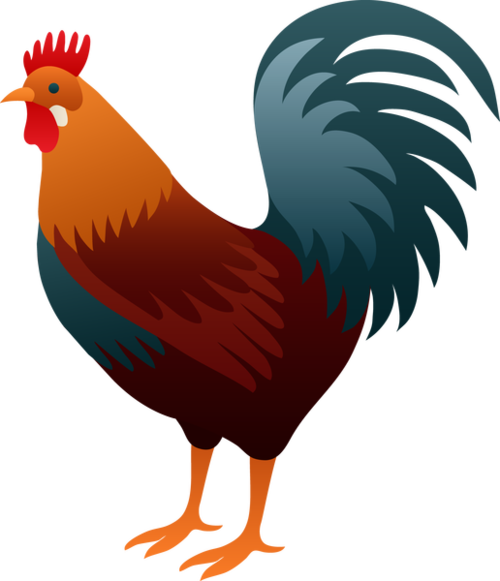 Rooster | Free Download Clip Art | Free Clip Art