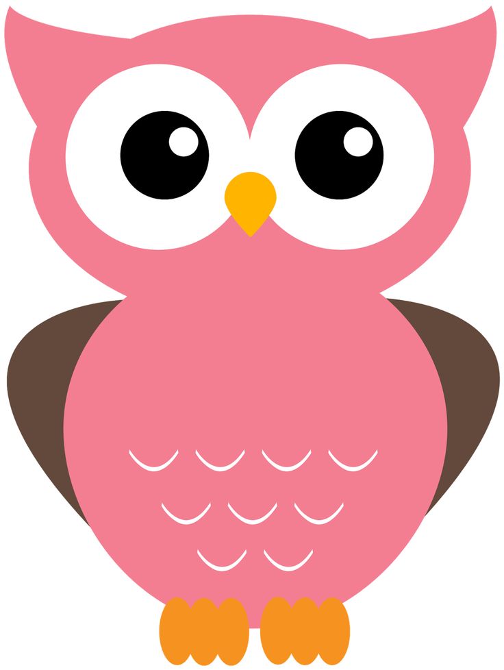 1000+ images about Owl Clipart