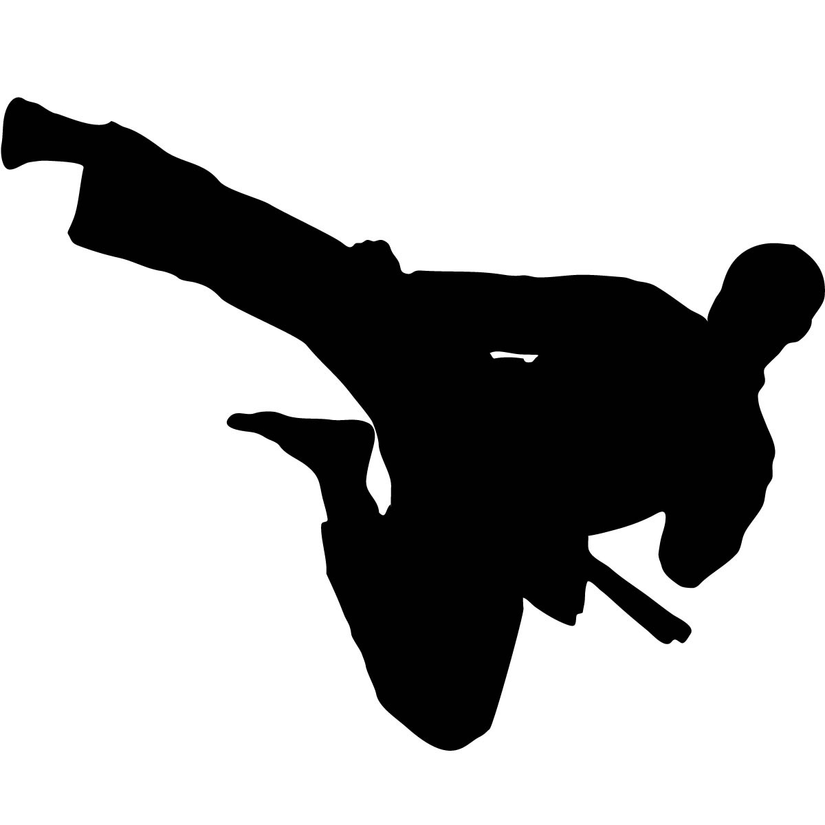 Ninja Kick Clipart Images Pictures Becuo | Stopimage