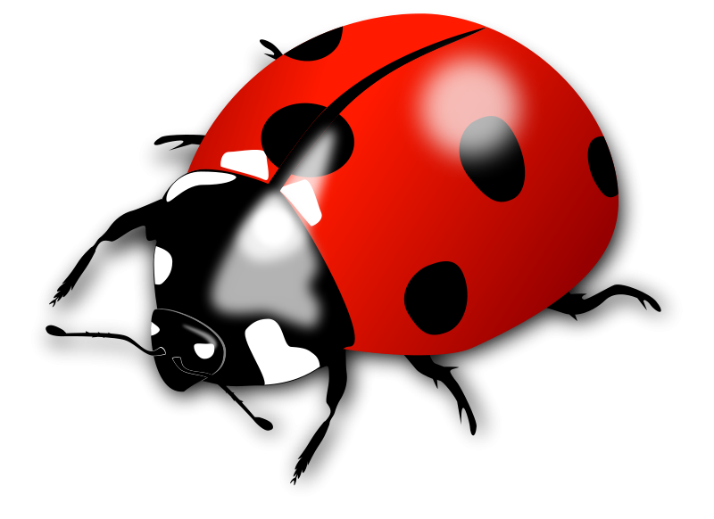 Ladybird Clipart | Free Download Clip Art | Free Clip Art | on ...