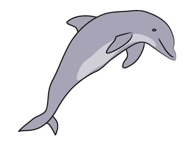 Clipart dolphins jumping