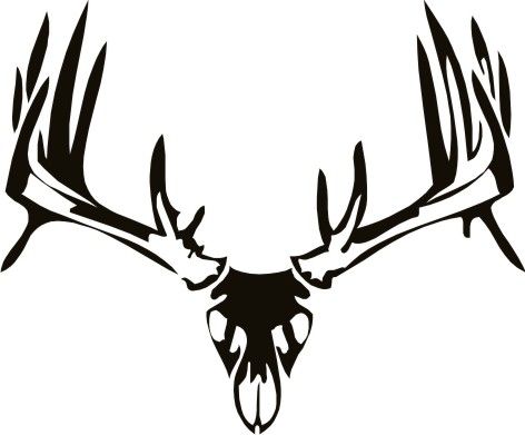 Deer Antler Tattoos | Antler ...