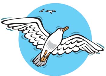 Seagull Clipart | Free Download Clip Art | Free Clip Art | on ...