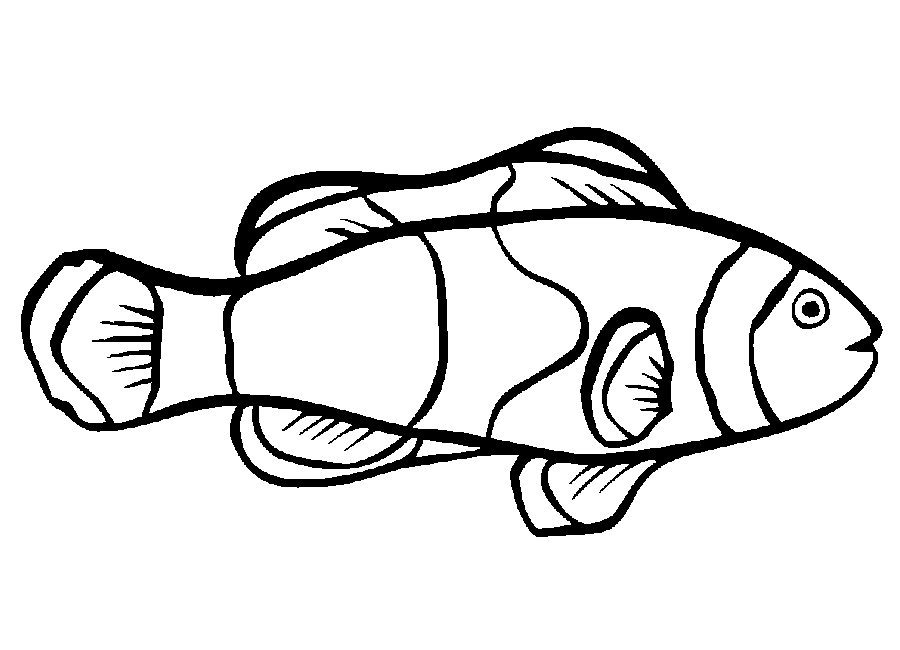 Draw Coloring Page Fish New In Design Animal Coloring - wonderful ...