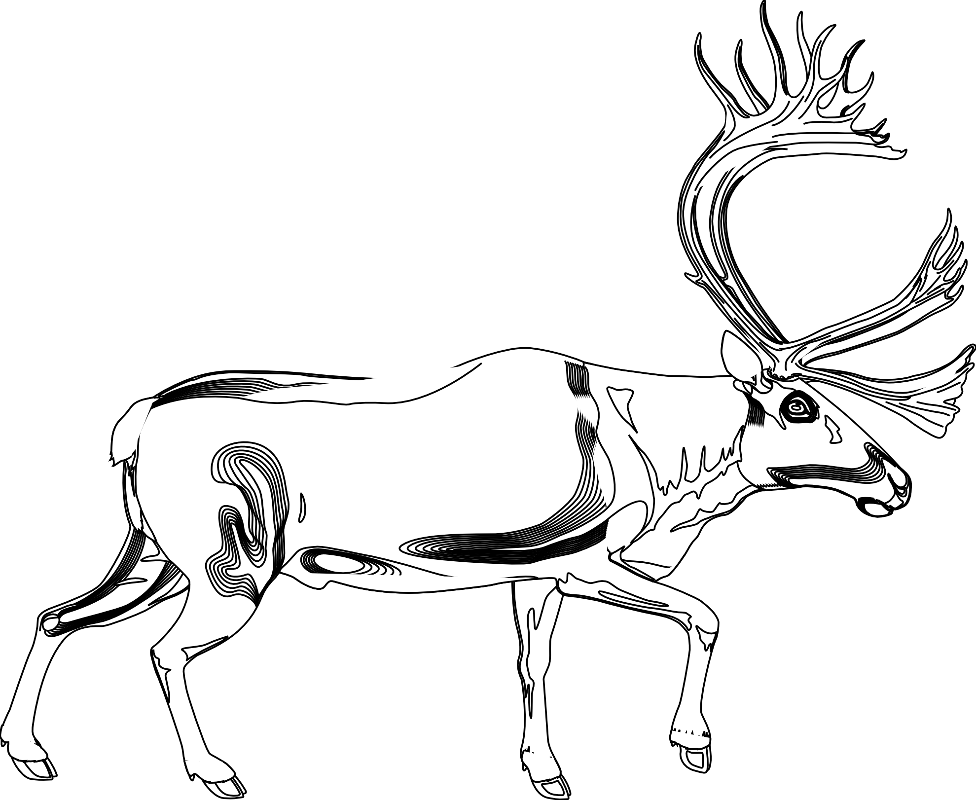 reindeer raindeer animal 7 black white line art ...