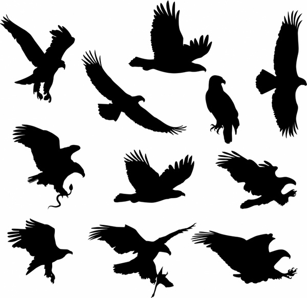 Eagle free vector download (332 Free vector) for commercial use ...