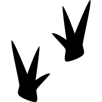 Bird Footprint Vectors, Photos and PSD files | Free Download