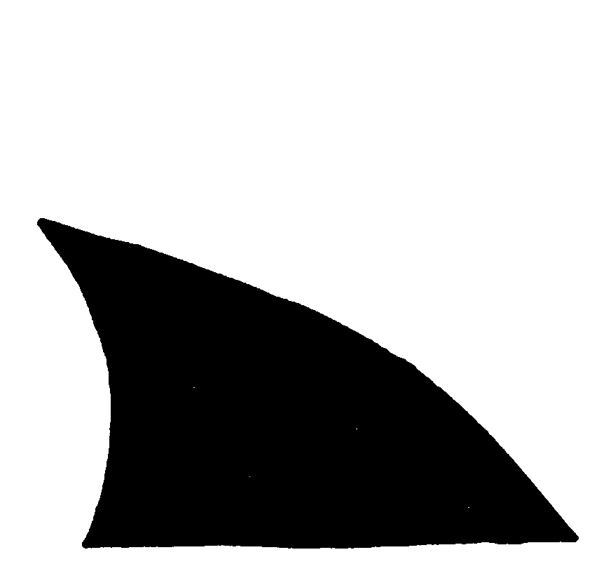 Shark Fin Logo Shark S Fin Cli