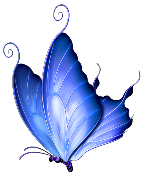 Vintage Butterfly Blue No Back | Free Images - vector ...