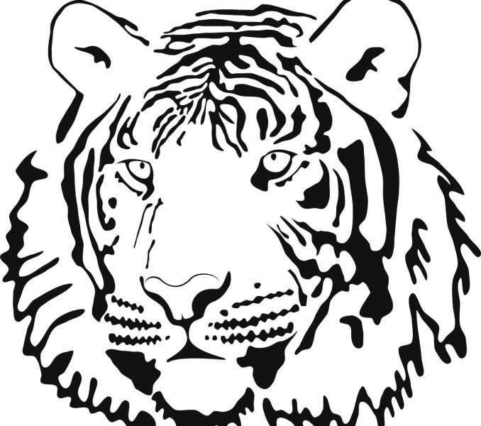 Coloring Page Tiger Coloring Sheet Fresh On Ideas Free Coloring ...