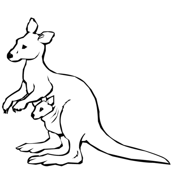 Drawing Kangaroo Clipart - Free to use Clip Art Resource