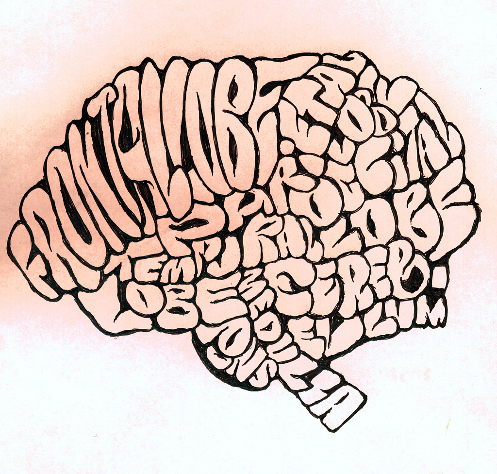Brain Vocab Sketch | Another version of the brain typography… | Flickr