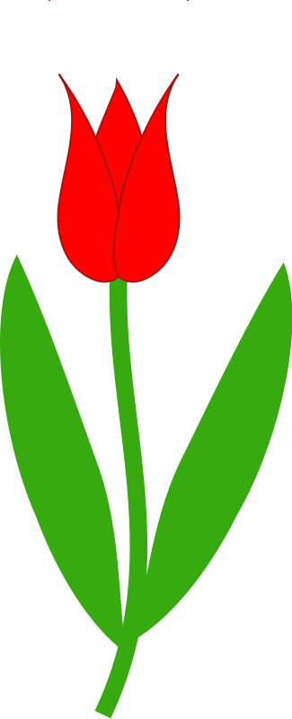 Tulip flower clipart hd - ClipartFox