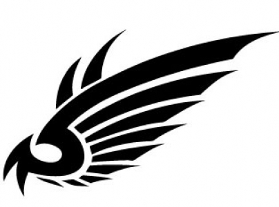 Wings design in vector format