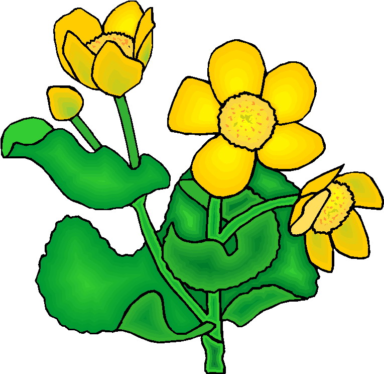 Clip Art Plant - ClipArt Best