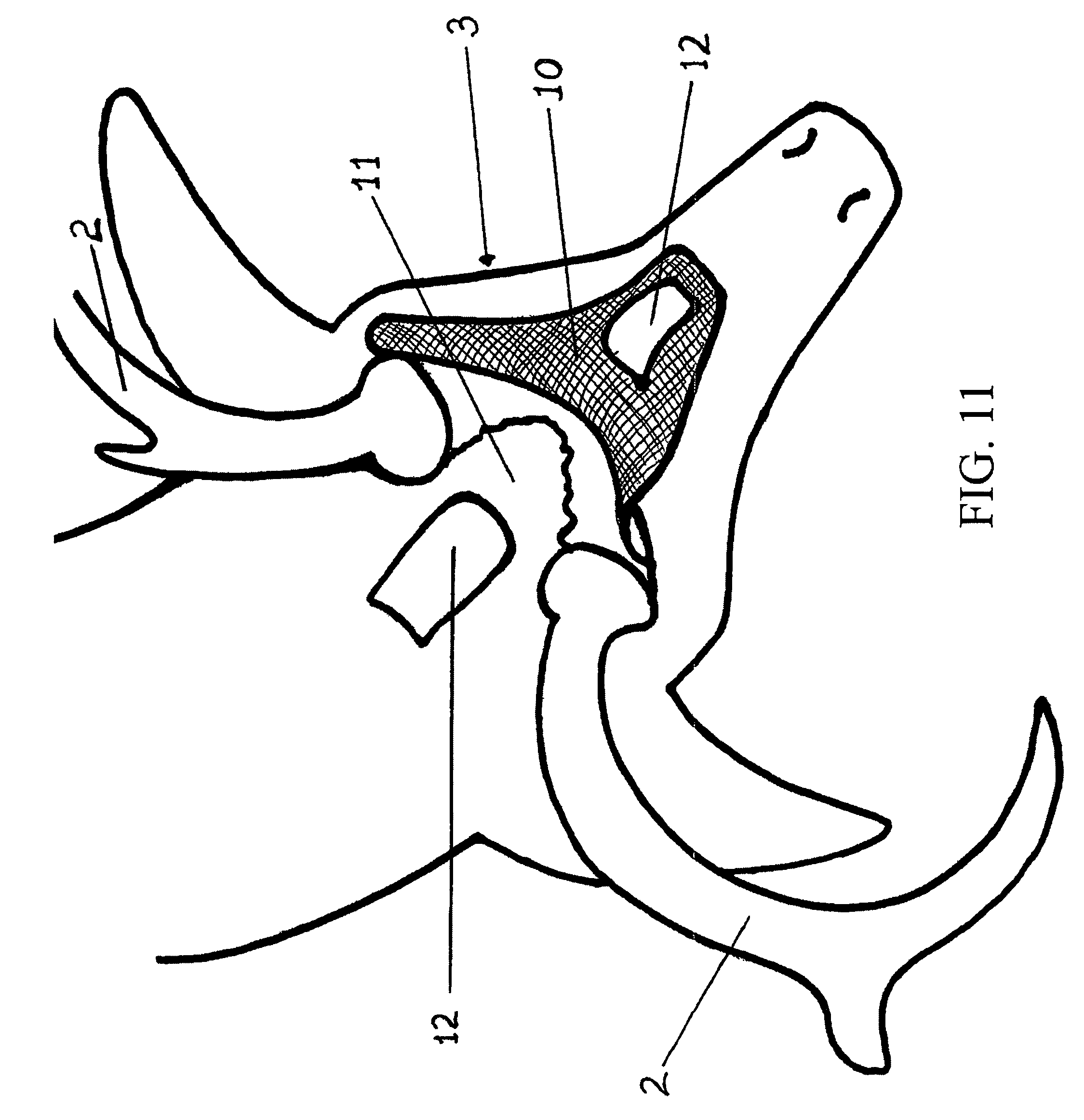 Caribou Drawings - ClipArt Best