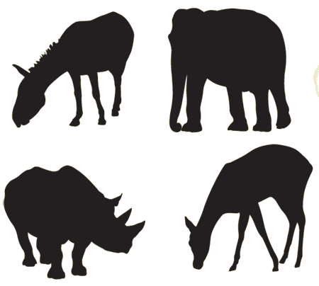 Free Vector Pack - Safari and Zoo Animals