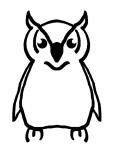 Owl Pictures - Public Domain Pictures - Page 1