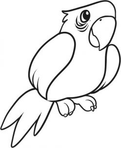 Animals - How to Draw a Parrot for Kids