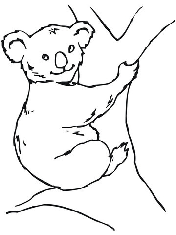 Koala Bear coloring page | Free Printable Coloring Pages